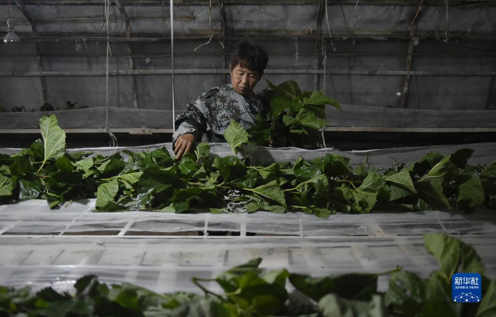 斗牛游戏下载
